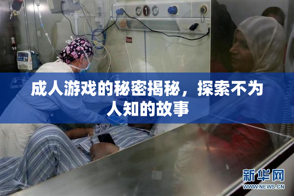 成人游戏的秘密揭秘，探索不为人知的故事