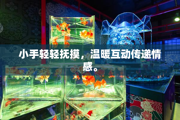 小手轻轻抚摸，温暖互动传递情感。