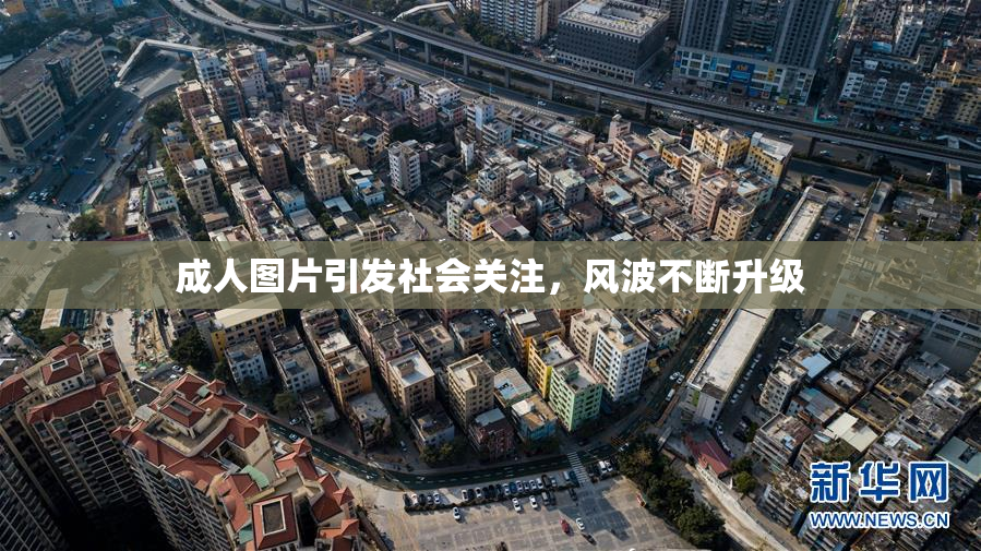 成人图片引发社会关注，风波不断升级
