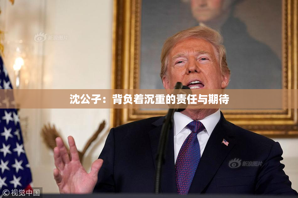 沈公子：背负着沉重的责任与期待