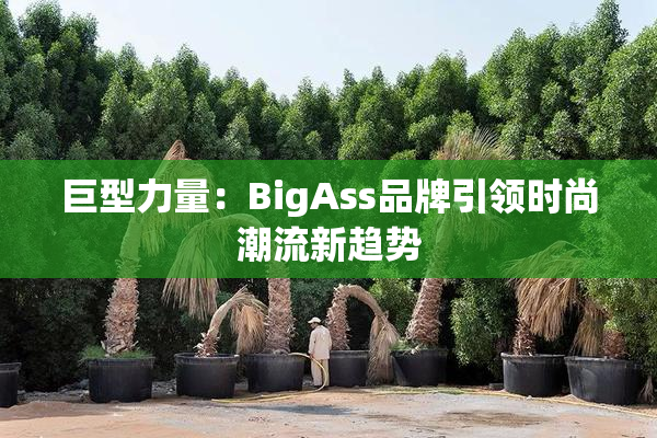 巨型力量：BigAss品牌引领时尚潮流新趋势