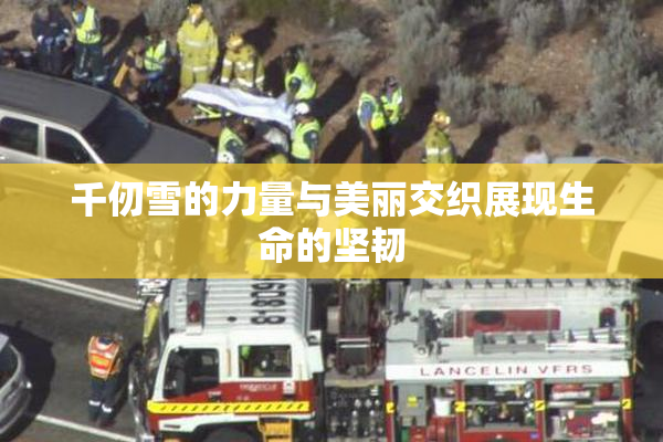 千仞雪的力量与美丽交织展现生命的坚韧