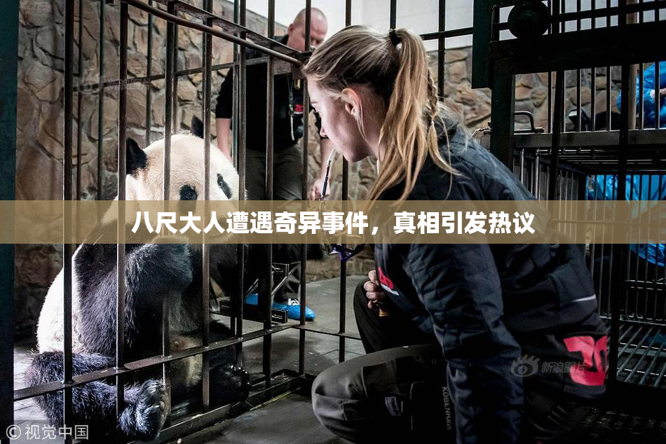 八尺大人遭遇奇异事件，真相引发热议