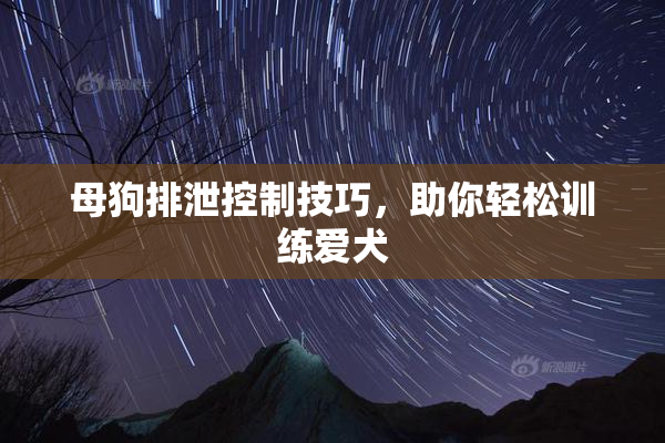 母狗排泄控制技巧，助你轻松训练爱犬