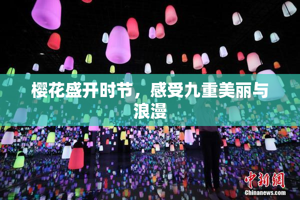 樱花盛开时节，感受九重美丽与浪漫