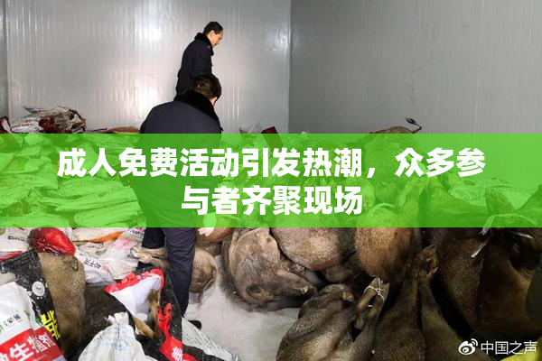 成人免费活动引发热潮，众多参与者齐聚现场