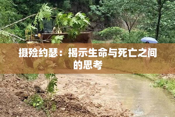 摄殓约瑟：揭示生命与死亡之间的思考