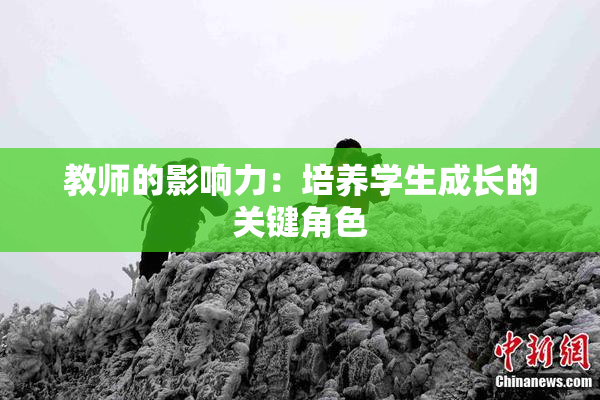 教师的影响力：培养学生成长的关键角色