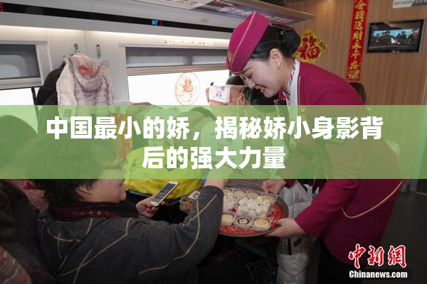中国最小的娇，揭秘娇小身影背后的强大力量