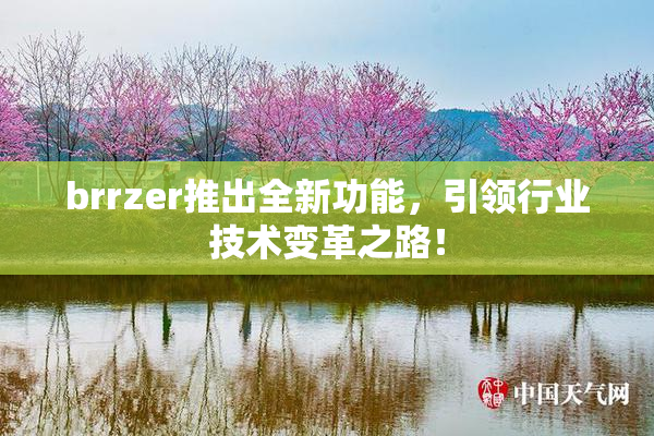 brrzer推出全新功能，引领行业技术变革之路！