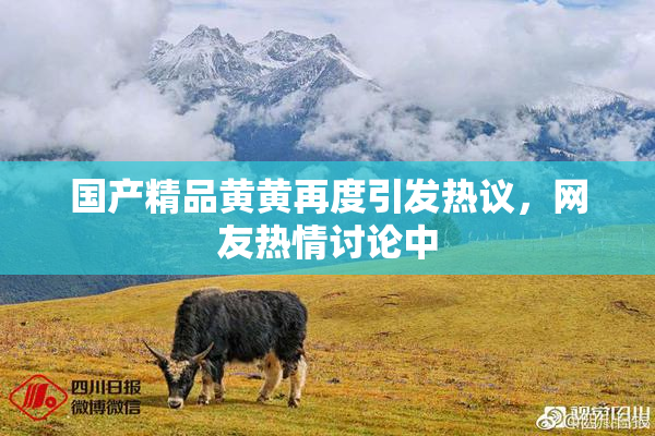 国产精品黄黄再度引发热议，网友热情讨论中