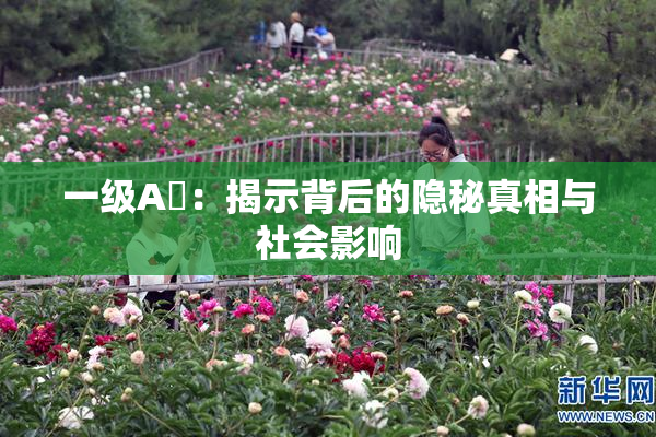 一级A婬：揭示背后的隐秘真相与社会影响