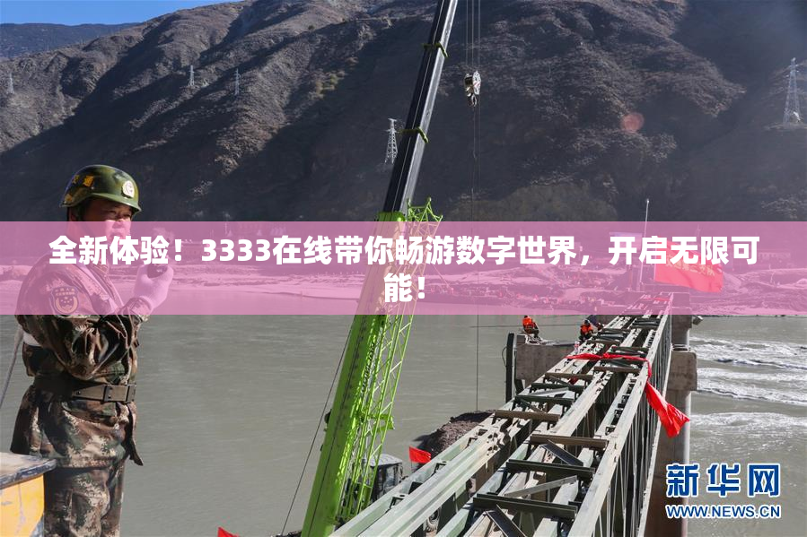 全新体验！3333在线带你畅游数字世界，开启无限可能！