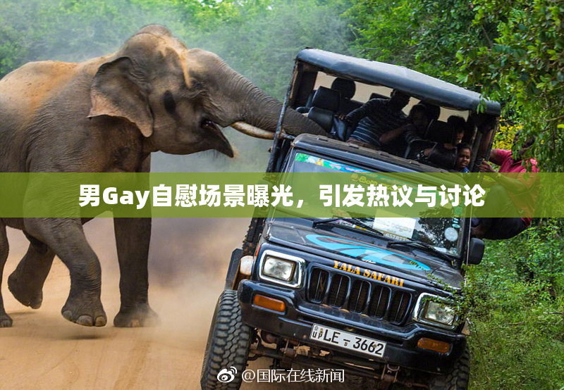 男Gay自慰场景曝光，引发热议与讨论