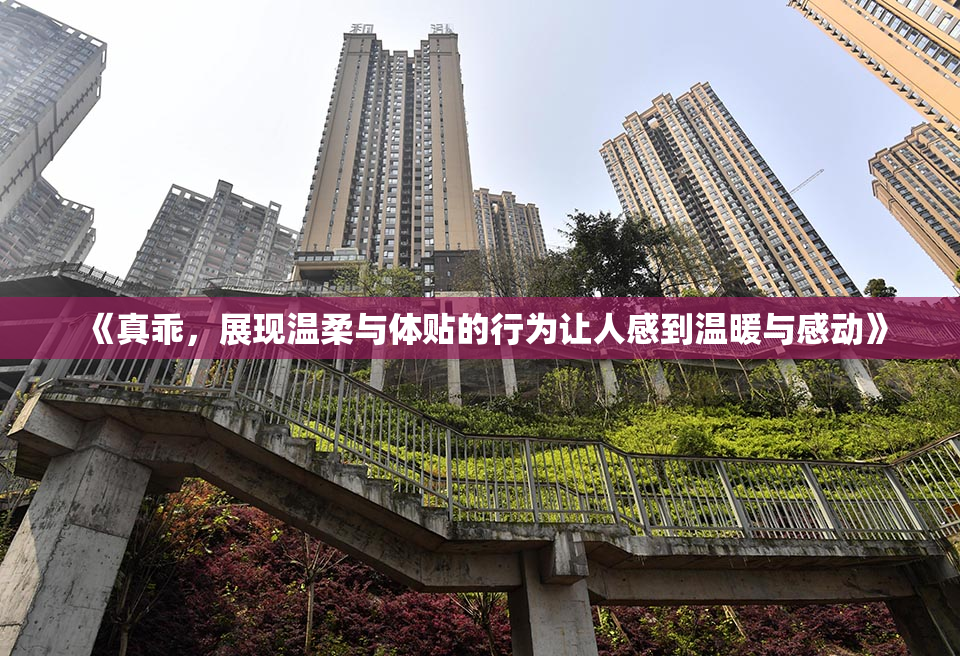 《真乖，展现温柔与体贴的行为让人感到温暖与感动》