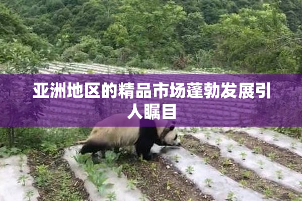 亚洲地区的精品市场蓬勃发展引人瞩目