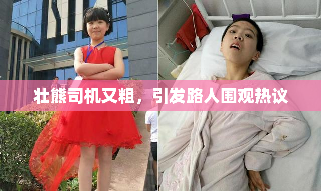 壮熊司机又粗，引发路人围观热议