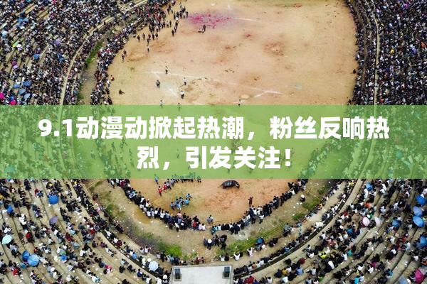 9.1动漫动掀起热潮，粉丝反响热烈，引发关注！