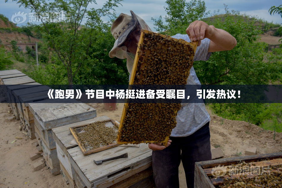 《跑男》节目中杨挺进备受瞩目，引发热议！