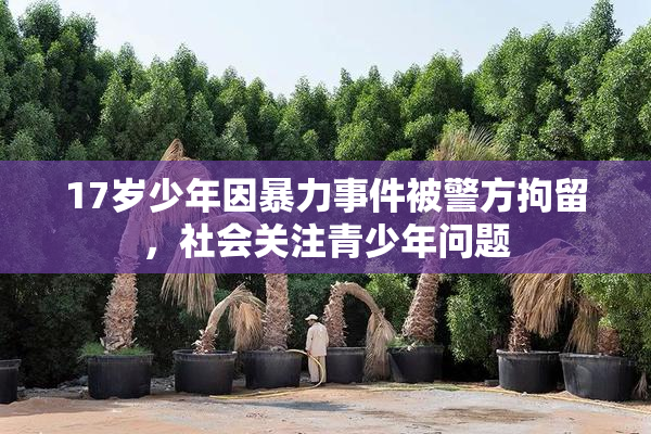17岁少年因暴力事件被警方拘留，社会关注青少年问题