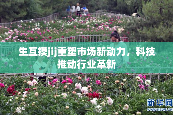 生互摸jij重塑市场新动力，科技推动行业革新