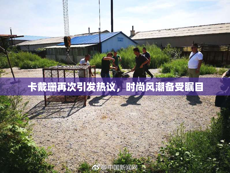 卡戴珊再次引发热议，时尚风潮备受瞩目