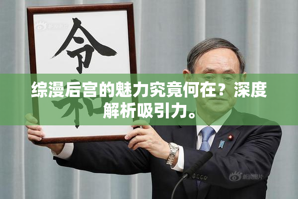 综漫后宫的魅力究竟何在？深度解析吸引力。
