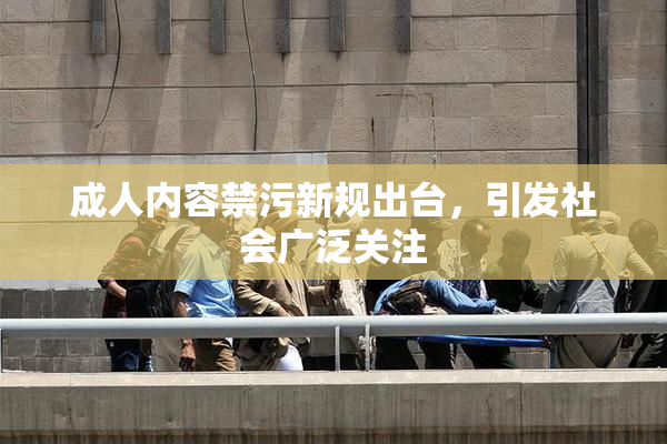 成人内容禁污新规出台，引发社会广泛关注
