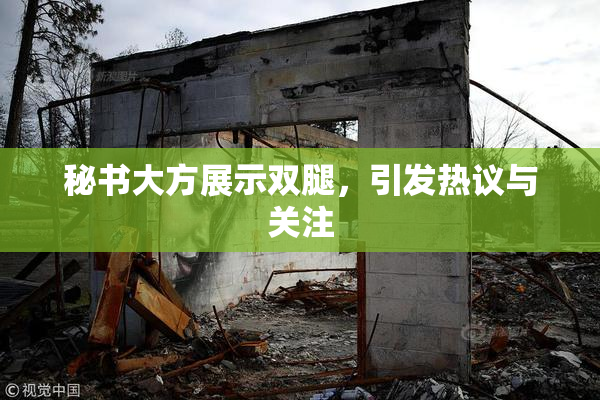 秘书大方展示双腿，引发热议与关注