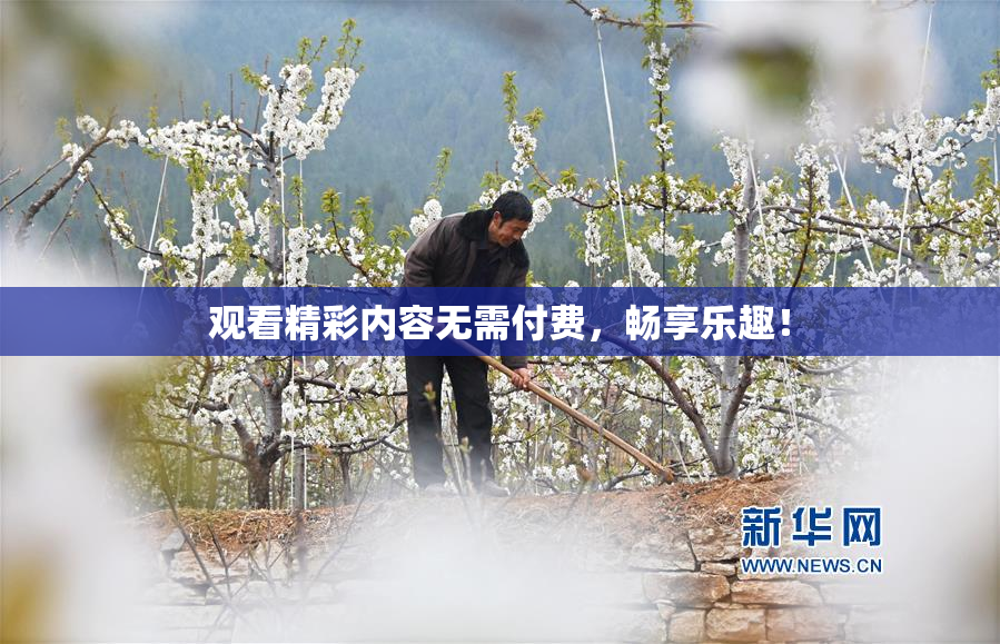 观看精彩内容无需付费，畅享乐趣！