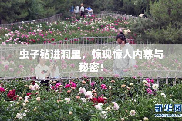 虫子钻进洞里，惊现惊人内幕与秘密！
