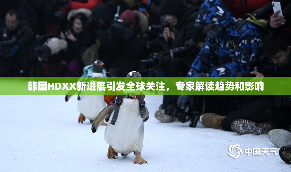 韩国HDXX新进展引发全球关注，专家解读趋势和影响
