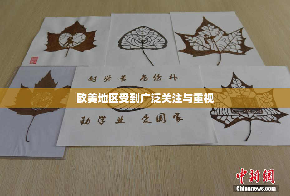 欧美地区受到广泛关注与重视