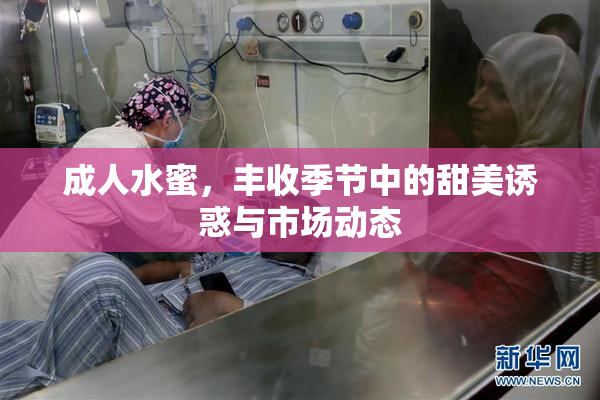成人水蜜，丰收季节中的甜美诱惑与市场动态