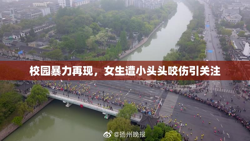 校园暴力再现，女生遭小头头咬伤引关注