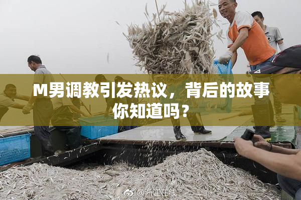 M男调教引发热议，背后的故事你知道吗？