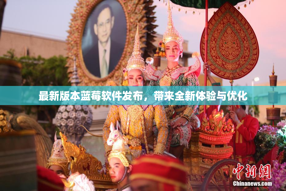 最新版本蓝莓软件发布，带来全新体验与优化
