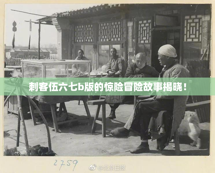 刺客伍六七b版的惊险冒险故事揭晓！