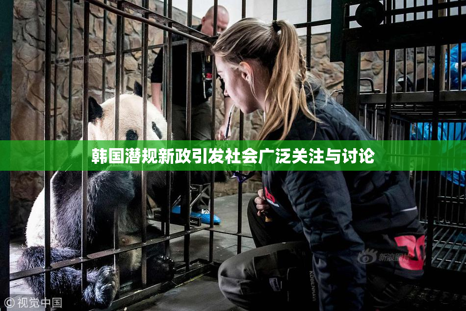 韩国潜规新政引发社会广泛关注与讨论