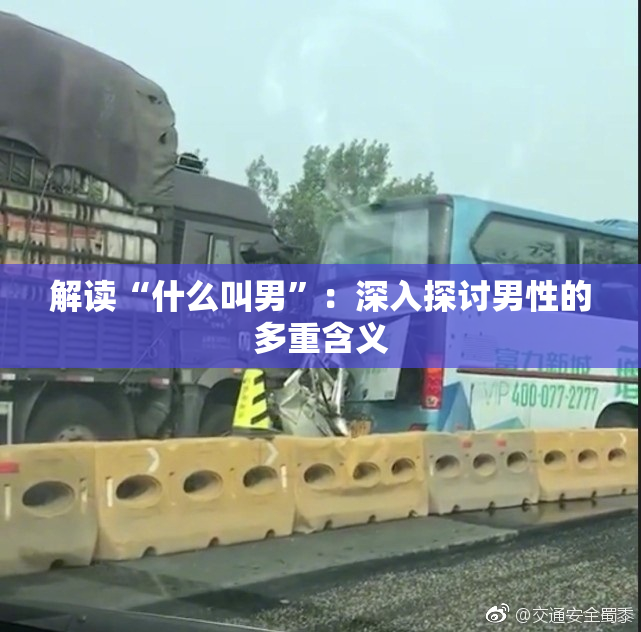 解读“什么叫男”：深入探讨男性的多重含义