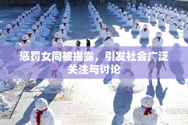 惩罚女同被揭露，引发社会广泛关注与讨论