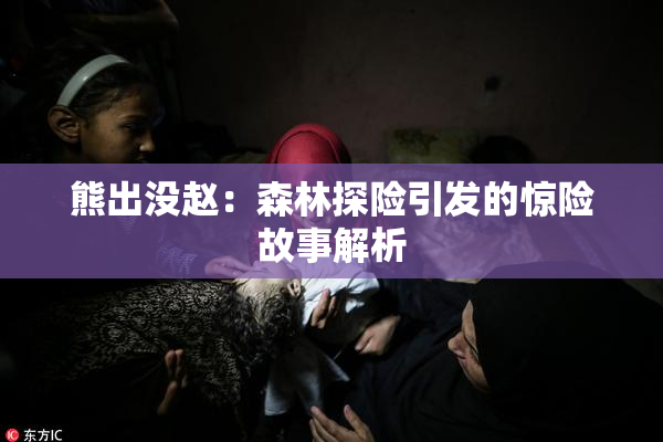 熊出没赵：森林探险引发的惊险故事解析