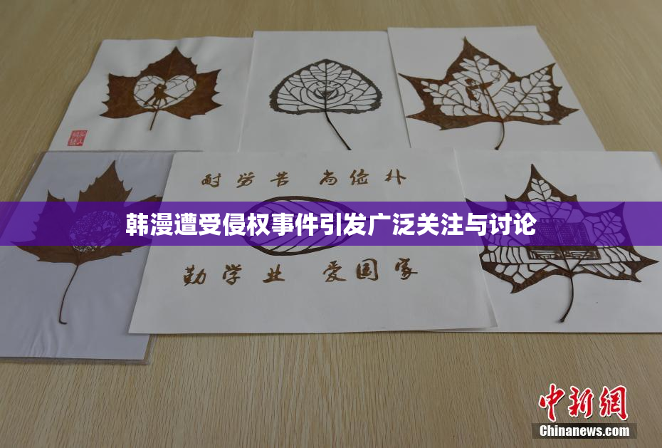 韩漫遭受侵权事件引发广泛关注与讨论