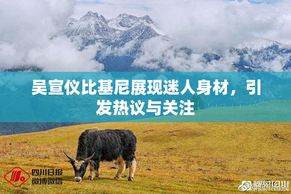 吴宣仪比基尼展现迷人身材，引发热议与关注