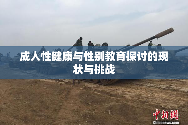 成人性健康与性别教育探讨的现状与挑战