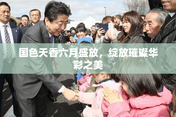 国色天香六月盛放，绽放璀璨华彩之美