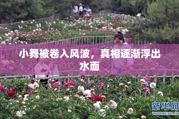 小舞被卷入风波，真相逐渐浮出水面