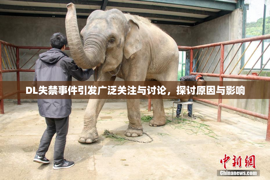 DL失禁事件引发广泛关注与讨论，探讨原因与影响