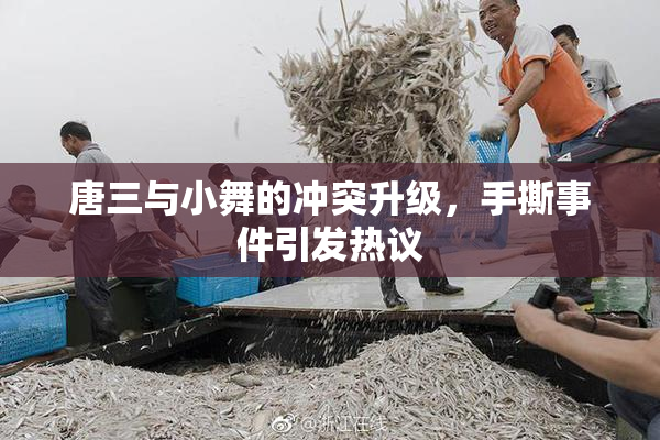 唐三与小舞的冲突升级，手撕事件引发热议