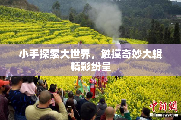 小手探索大世界，触摸奇妙大辑精彩纷呈